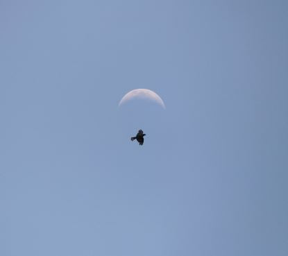 What is Spirituality?