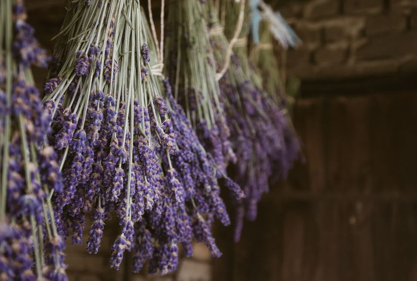 Lavender, Rose & Orange - Our Essential oil fragrance